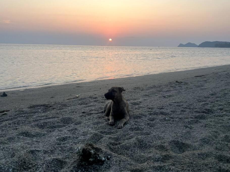 Sunset Serenity Cove Ko Pha Ngan Buitenkant foto