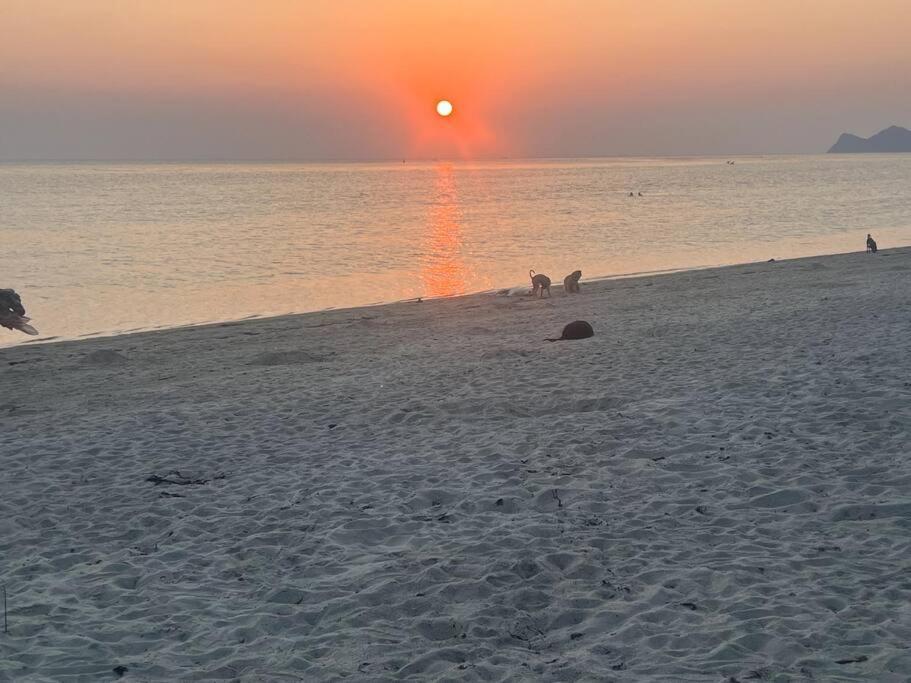 Sunset Serenity Cove Ko Pha Ngan Buitenkant foto